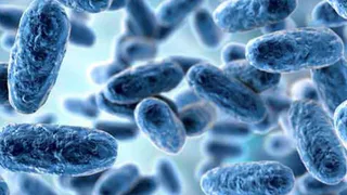 Как отличить обычный кашель от коклюша?