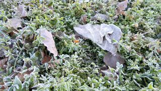 9 мая в Рязанской области ожидается снег и до -4