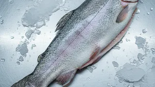 Купил форель в "Светофоре" для засолки икры — только дома понял, какая она: обзор без прикрас