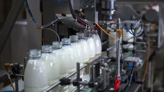 Россельхознадзор в шестой раз оштрафовал молокозавод в Шиловском районе из-за фальсификата