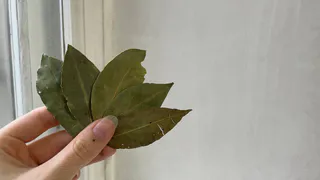 Успокойте свои бессонные ночи с помощью лаврового листа: удивительные свойства, о которых мало кто догадывался