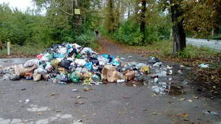 На улицах Рязани разрастаются  стихийные свалки