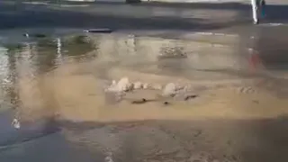 Видео с запахом: в Рязани прорвало канализацию