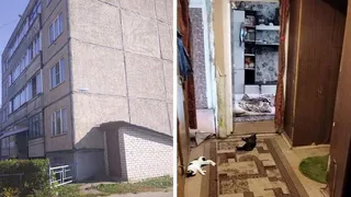 Во Владимирской области дело о гибели 5 человек после травли тараканов передали в суд