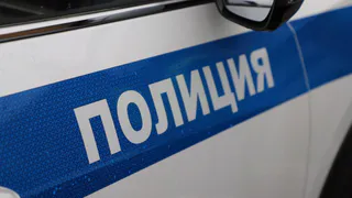 Полиция разыскивает очевидцев смертельного ДТП в Рыбновском районе