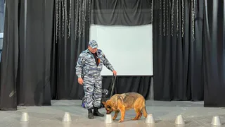 В Магнитогорске сотрудники центра кинологической службы МВД встретились с будущими педагогами