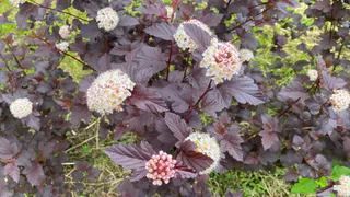 3 июля Челябинская область остается во власти осадков