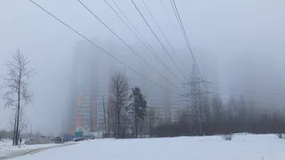 Вильфанд объявил о ледяном марте: зимняя погода продлится еще месяц и сорвет весенний настрой
