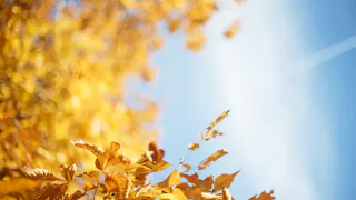 О погоде в Рязани - синоптики обещают теплые выходные