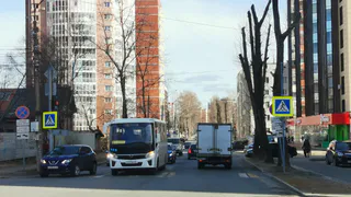 Водители в недоумение - в России сделали важное заявление о возвращении обязательного техосмотра для всех без исключения