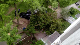 Обзор социальных сетей - последствия урагана в Рязани и Москве