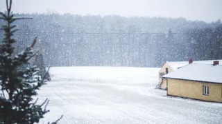 Жители рязанской деревни пожаловались на вонь