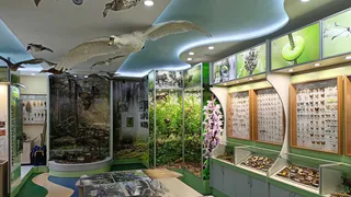 Два проекта из Чувашии получили президентские гранты на сохранение природы