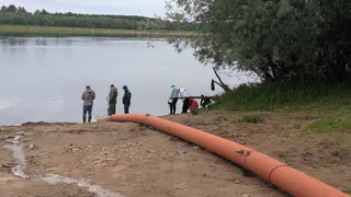 Вычегда в Коми обогатилась 2 миллионами мальков сига