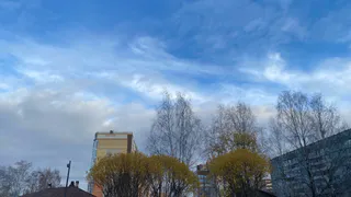 На следующей неделе антициклон принесет в Коми стабильную погоду без осадков