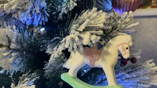  Три «П» от Роспотребнадзора Татарстана: как провести новогодние праздники безопасно