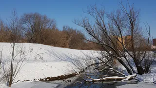 Возможно потепление: какая погода ждет рязанцев на этой неделе?
