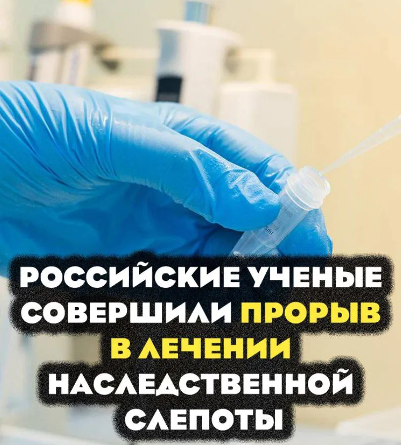 Российские учёные совершили прорыв в лечении наследственной слепоты: найден способ борьбы с синдромом Ашера