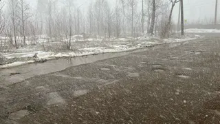 В Коми 14 процентов школьных маршрутов находятся в ненормативном состоянии