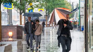 3 июня в Рязанской области ожидаются дожди и +27 градусов