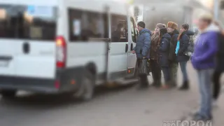 "Все проезжают мимо нас" - в Ворошиловке рязанцы берут маршрутки штурмом