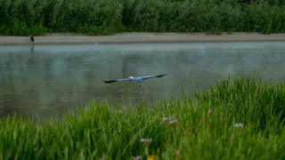 Небольшой дождь и до +22 градусов пообещали синоптики в Чувашии в понедельник
