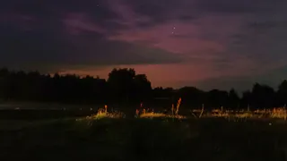 Ночью с 17 на 18 августа в Рязанской области наблюдали полярное сияние
