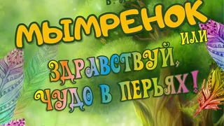 Нижнекамцев приглашают на спектакли