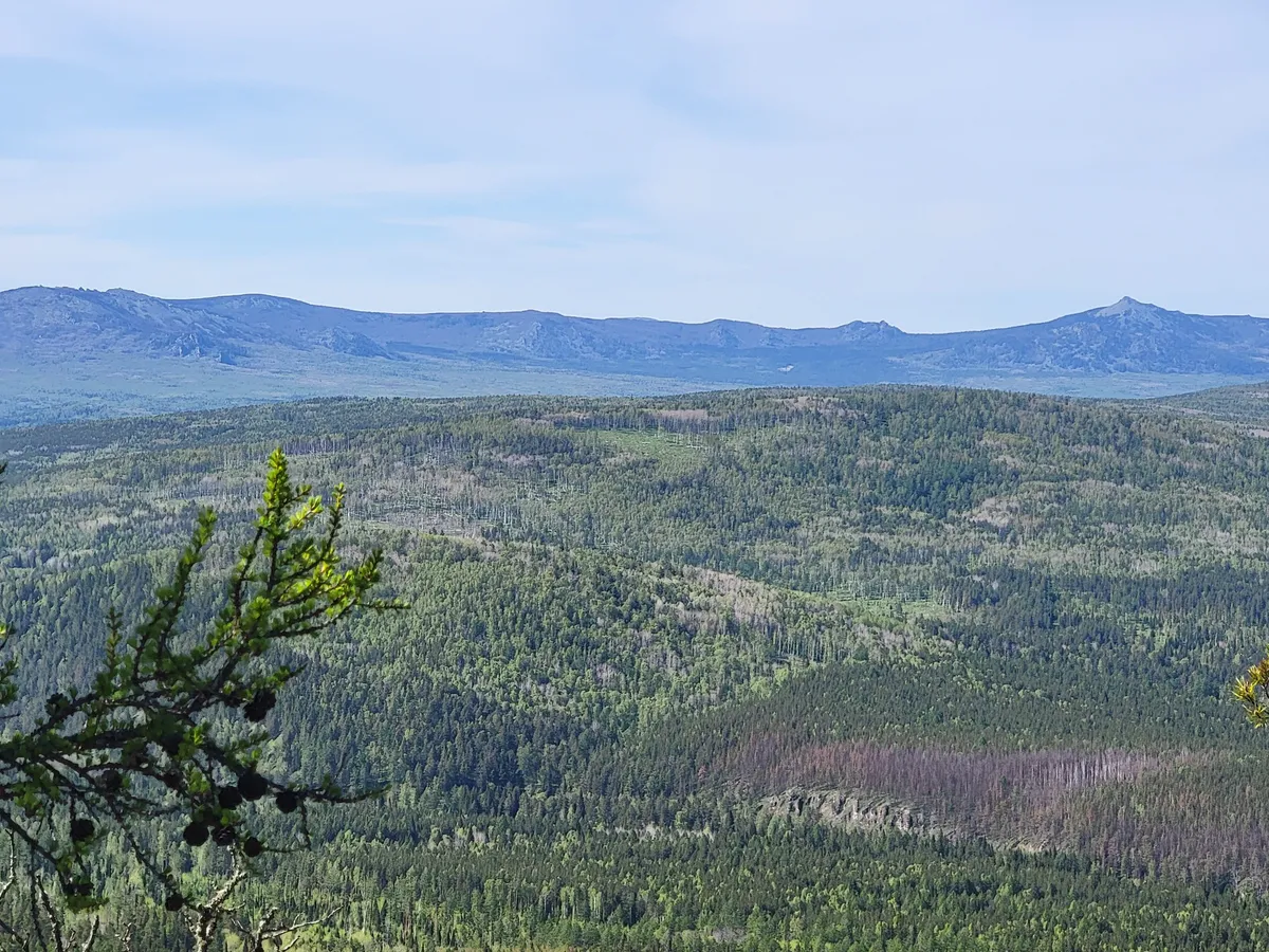 9 июля принесет в Челябинскую область долгожданное тепло