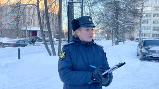 В Коми приставы добились погашения налоговой задолженности почти на миллиард рублей