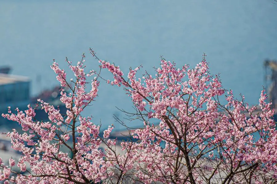 Погодный апрель наступит раньше календарного