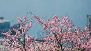 Погодный апрель наступит раньше календарного