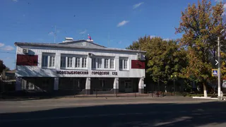 Гражданин Германии лишился автомобиля в Брянской области