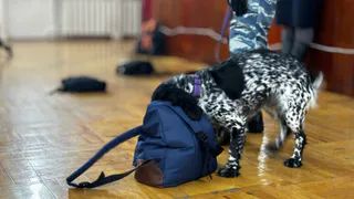 600 граммов изъятых наркотиков: в Коми завершился первый этап операции "Чистое поколение"