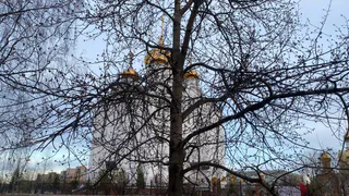 Погода в Коми 28 апреля радует не все районы: метель на севере, но робкое солнце на юге