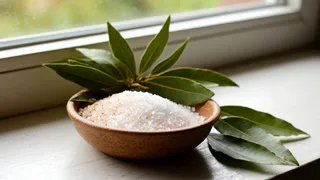 Смешайте соль с лаврушкой — и на подоконник: так делают только умные хозяйки — решение сразу 2 проблем