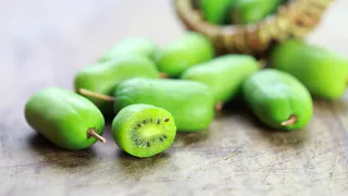 Родственница киви прижилась на дачах россиян