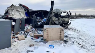 В Скопинском районе перевернулся большегруз с товарами из маркетплейсов