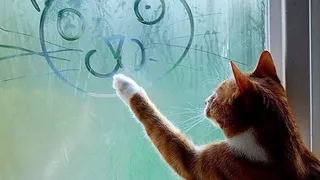 В Нижнекамске дожди и туманы