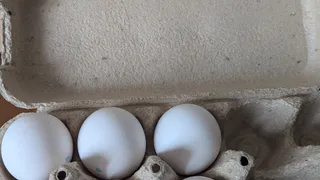 Обходят за километр: почему работники магазинов и птицефабрик никогда не покупают яйца категории С0 даже по скидке