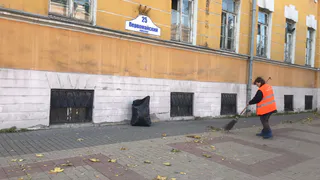 Заведовать рязанскими дворниками стал другой чиновник