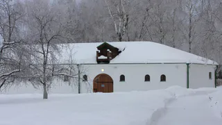 Рязанский Минкульт объяснил введение оплаты входа в музей-заповедник Есенина 