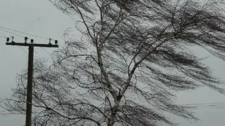 В Рязани объявили штормовое предупреждение