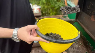 Удобрение станет ядом: 5 ошибок при добавлении золы на огород - тонкости опытных огородников