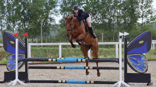 Собинский район примет соревнования по конкуру на Кубок Золотого кольца