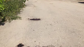 Очевидцы: ночью на улице Крупской произошла драка