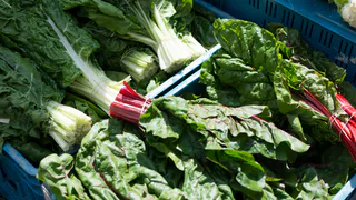 Овощ, убивающий почки: в Европе его больше не едят, а в России по-прежнему любят