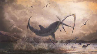 Парк Шацкого периода: учёные начали исследовать обитателей мезозойского моря