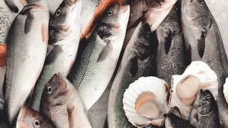 Роспотребназдор составил 278 протоколов за торговлю рыбой