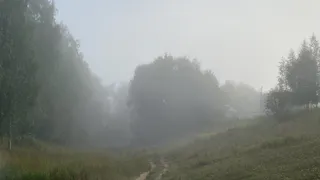 Дожди и похолодание нагрянут в Коми 20 сентября